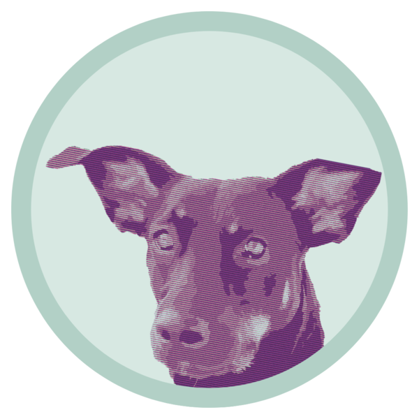 Dog House Music